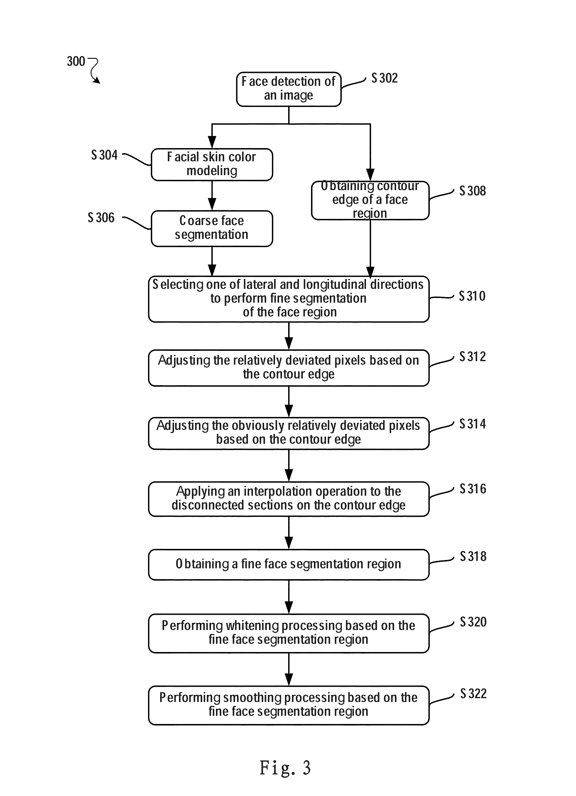 Method and Apparatus for Facial Image Processing