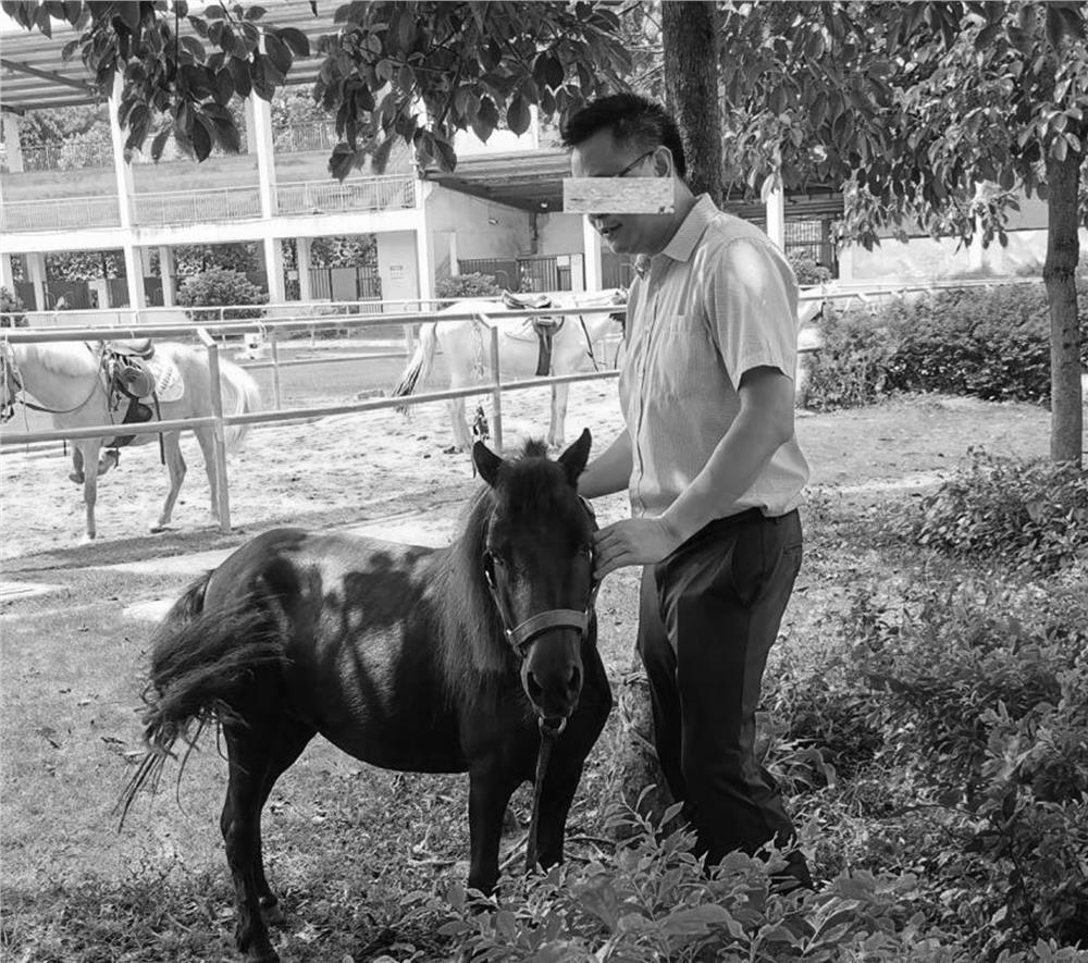 Domestication method of Debao dwarf horses
