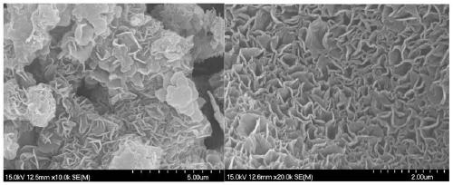 Novel Conjugated Microporous Organic Polymers and Their Synthesis and Applications