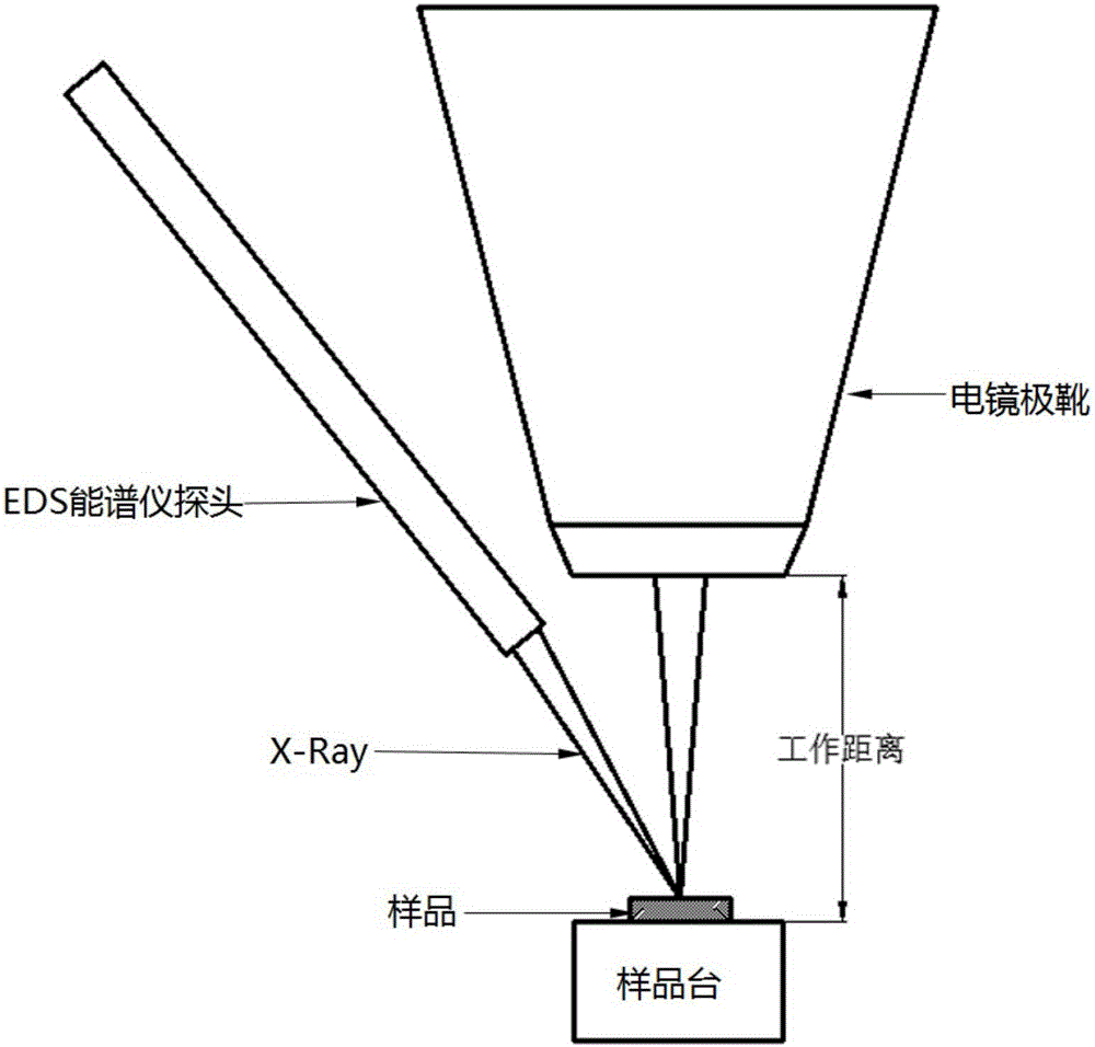 Scanning electron microscope-energy dispersive X-ray spectroscopy (SEM-EDX) detection method for distribution characteristics of nitrogen, phosphorus and potassium in crop leaf