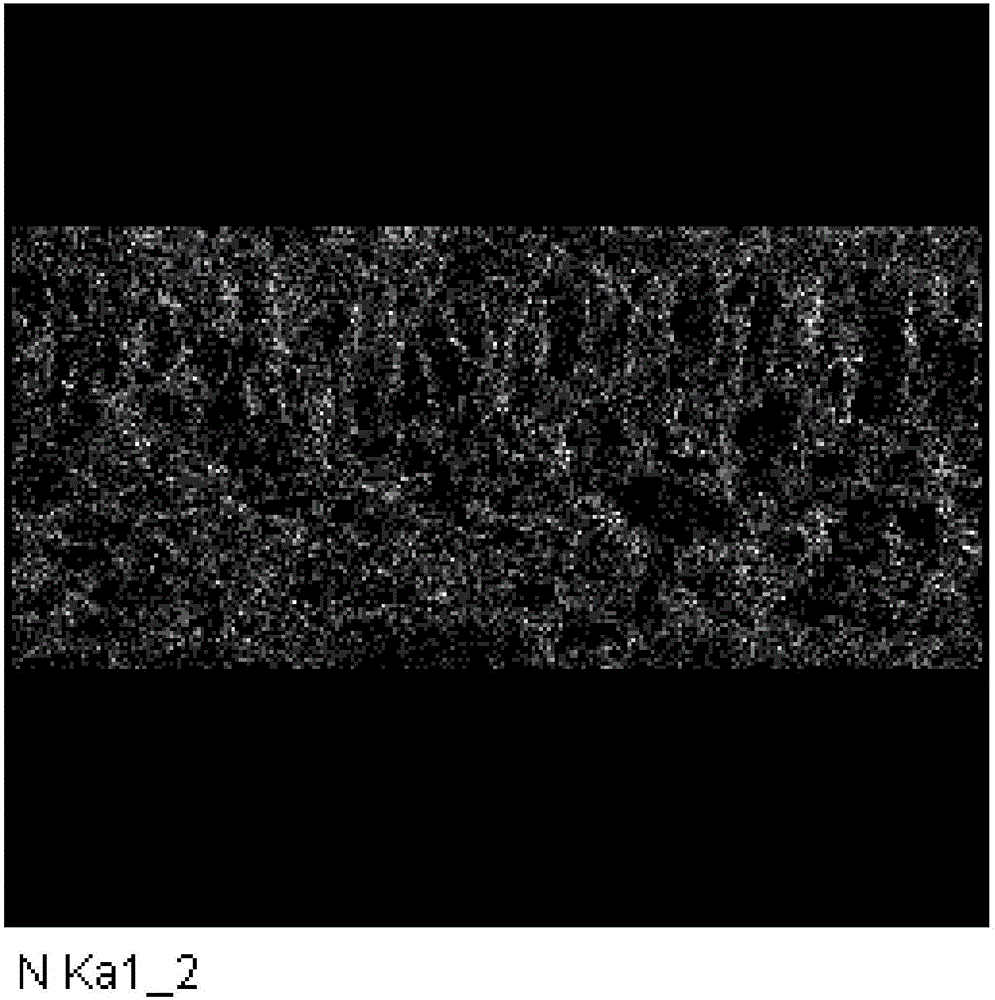 Scanning electron microscope-energy dispersive X-ray spectroscopy (SEM-EDX) detection method for distribution characteristics of nitrogen, phosphorus and potassium in crop leaf