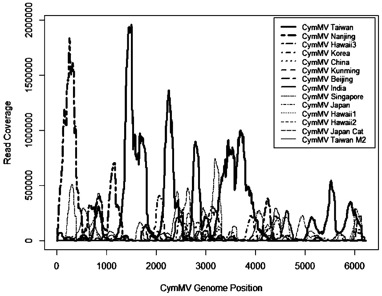 Cloning and transcription carrier construction of cymbidium mosaic virus strain