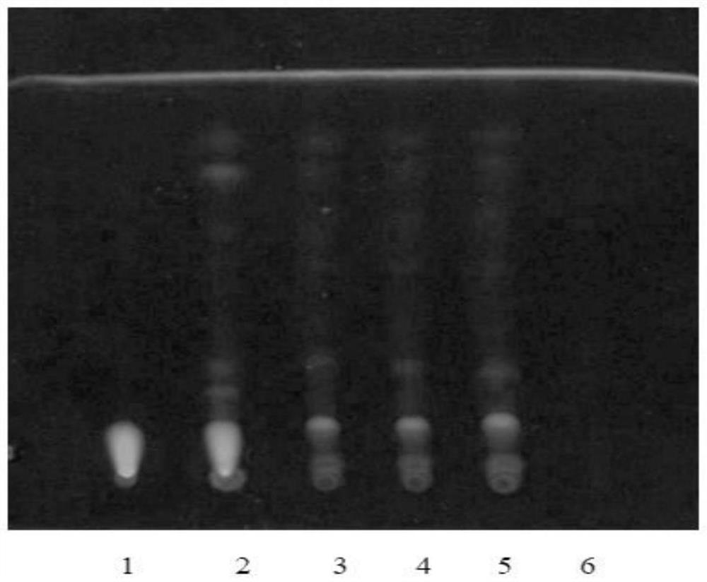 Detection method of swelling and pain relieving vinegar paste