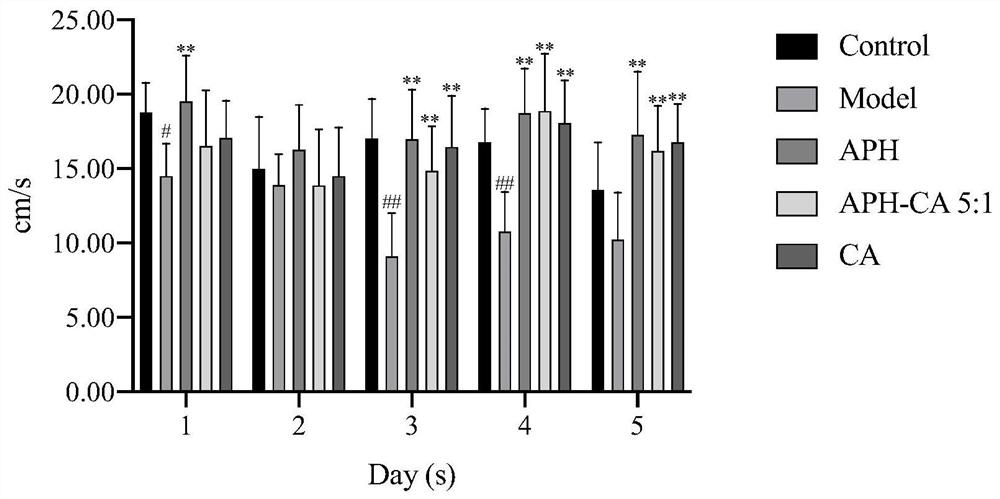 Application of anchovy peptide-catechin conjugate in memory improvement