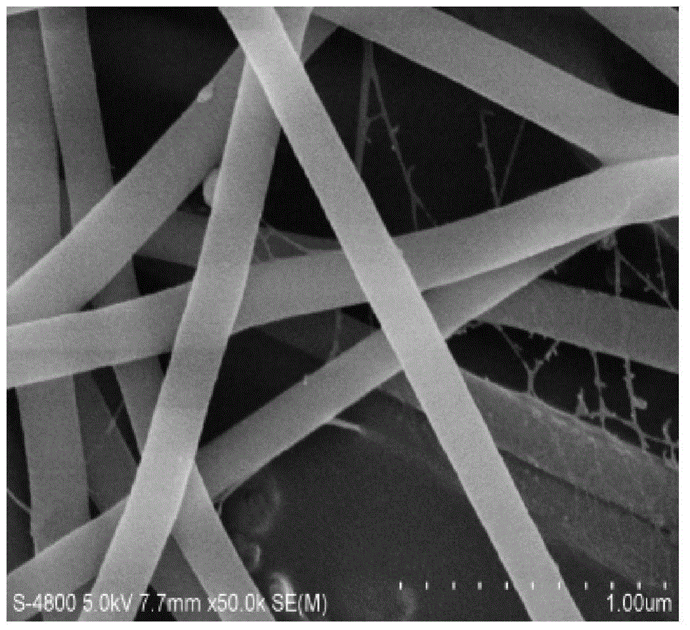 Preparation method of nano-gold-nanofiber functional composite modified electrode