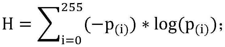 A camera automatic exposure method based on ambient brightness and image information entropy