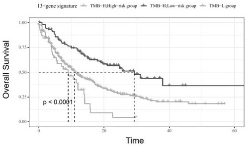 Prognosis evaluation method for immunotherapy of non-small cell lung cancer patient