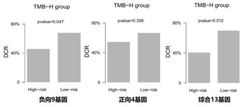 Prognosis evaluation method for immunotherapy of non-small cell lung cancer patient