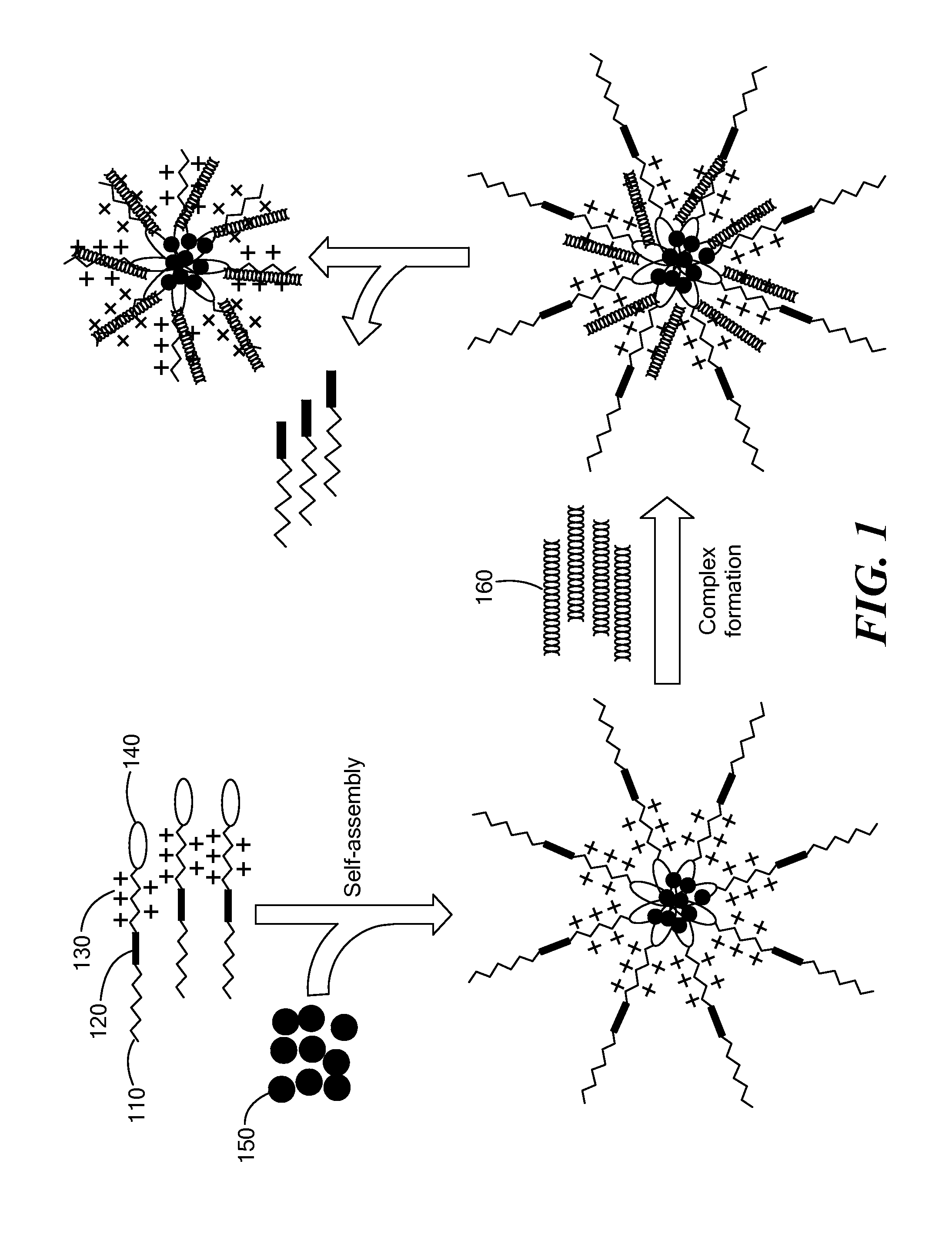 System for co-delivery of polynucleotides and drugs into protease-expressing cells