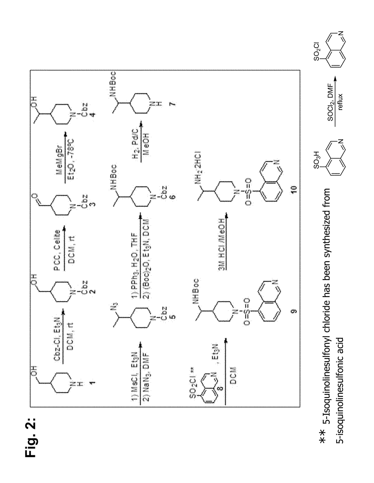 Rho kinase inhibitor ba-1049 (r) and active metabolites thereof