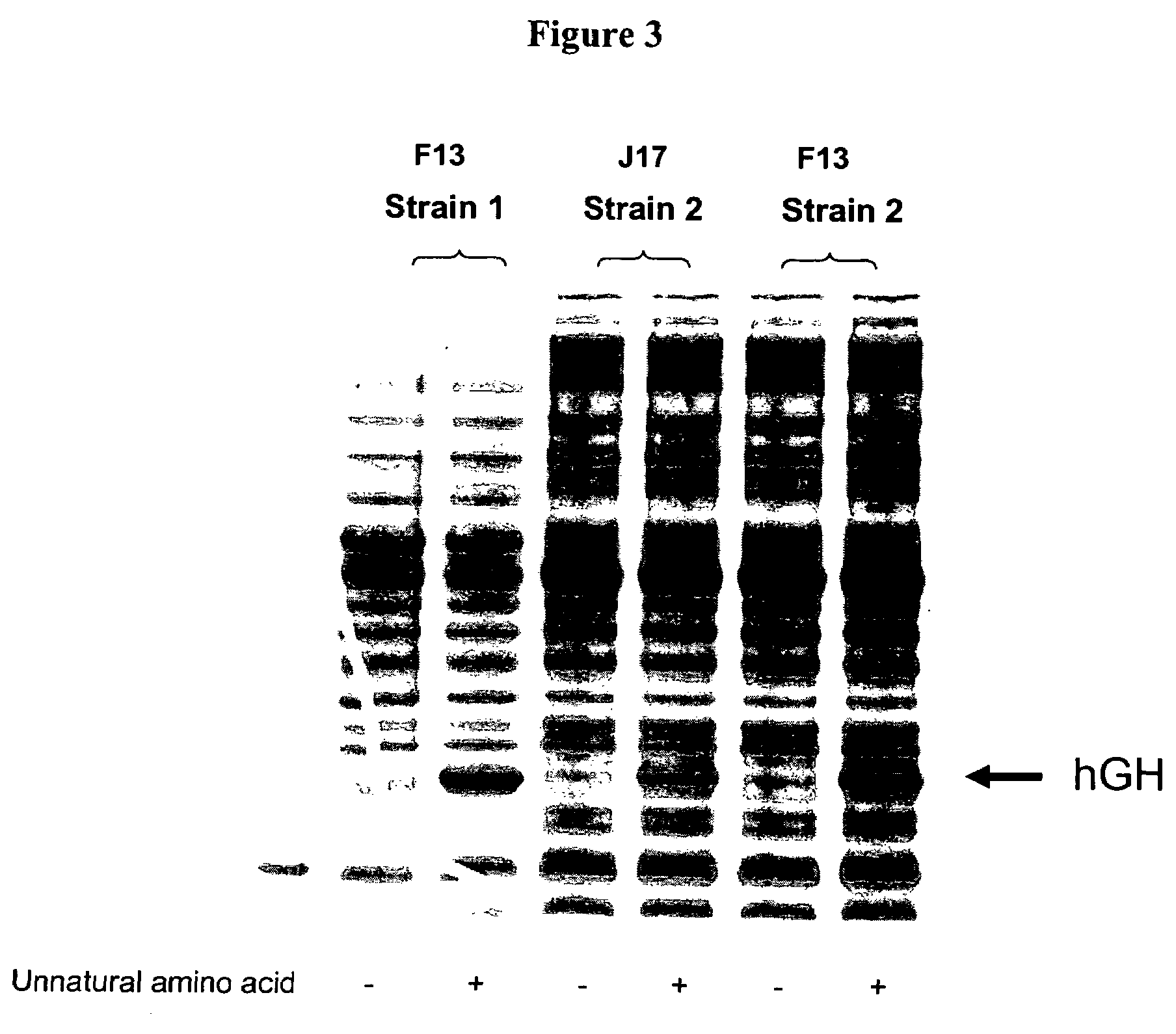 Compositions of tRNA and uses thereof