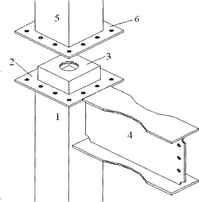 Beam-to-column connections for square steel tube columns