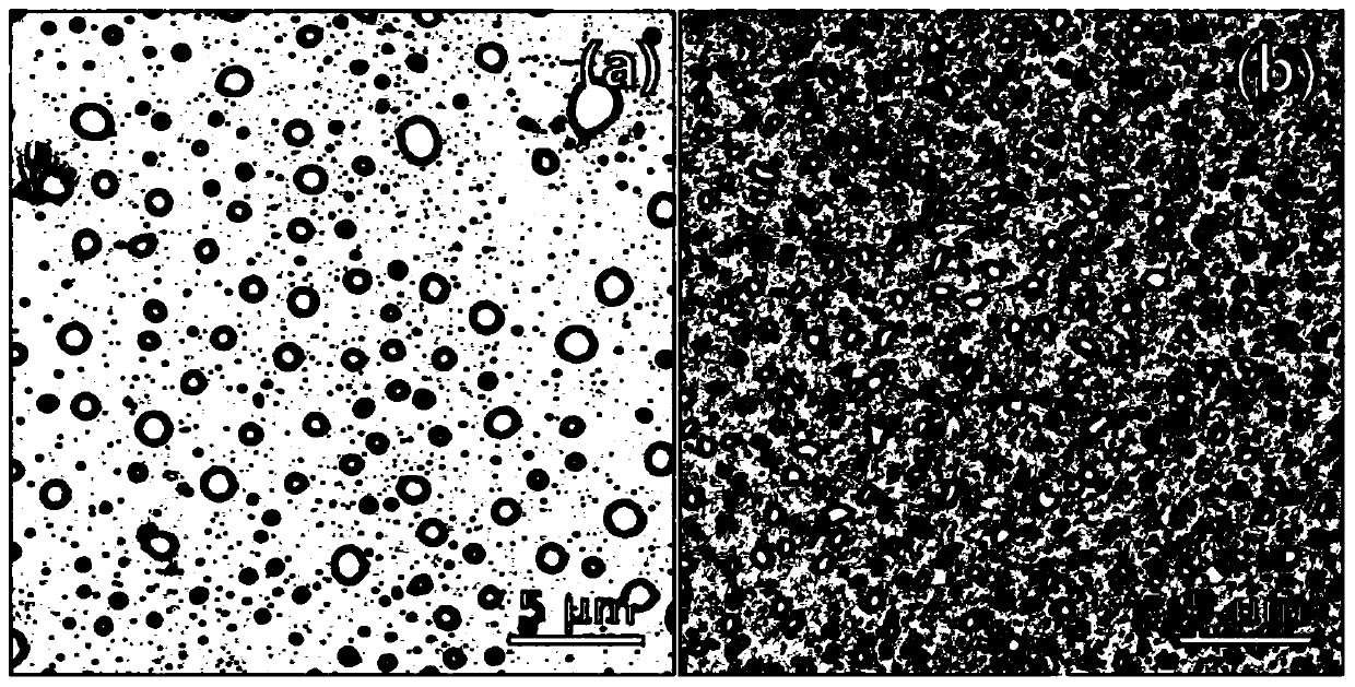 A kind of preparation method of polypyrrole film substrate for cell culture