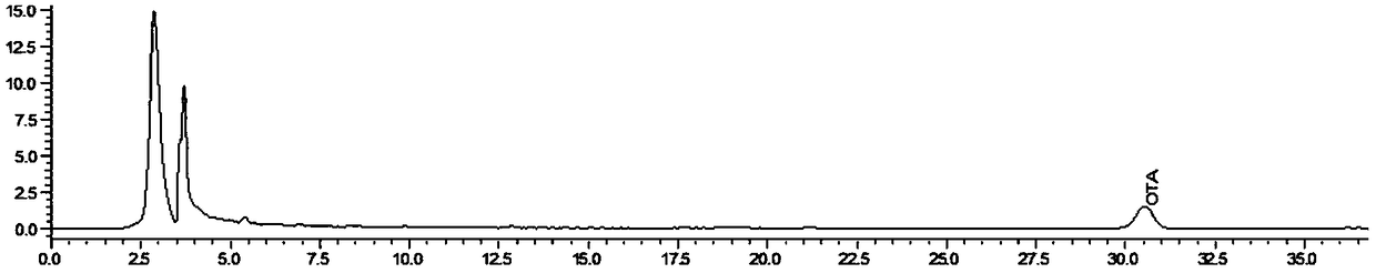 Bacillus subtilis and application thereof to degradation of aspergillus ochraceus A (OTA) in post-fermented tea pile fermentation