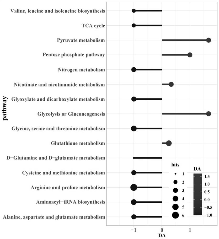 Metabonomics analysis method of Au-Pd/wtE. coli nano material