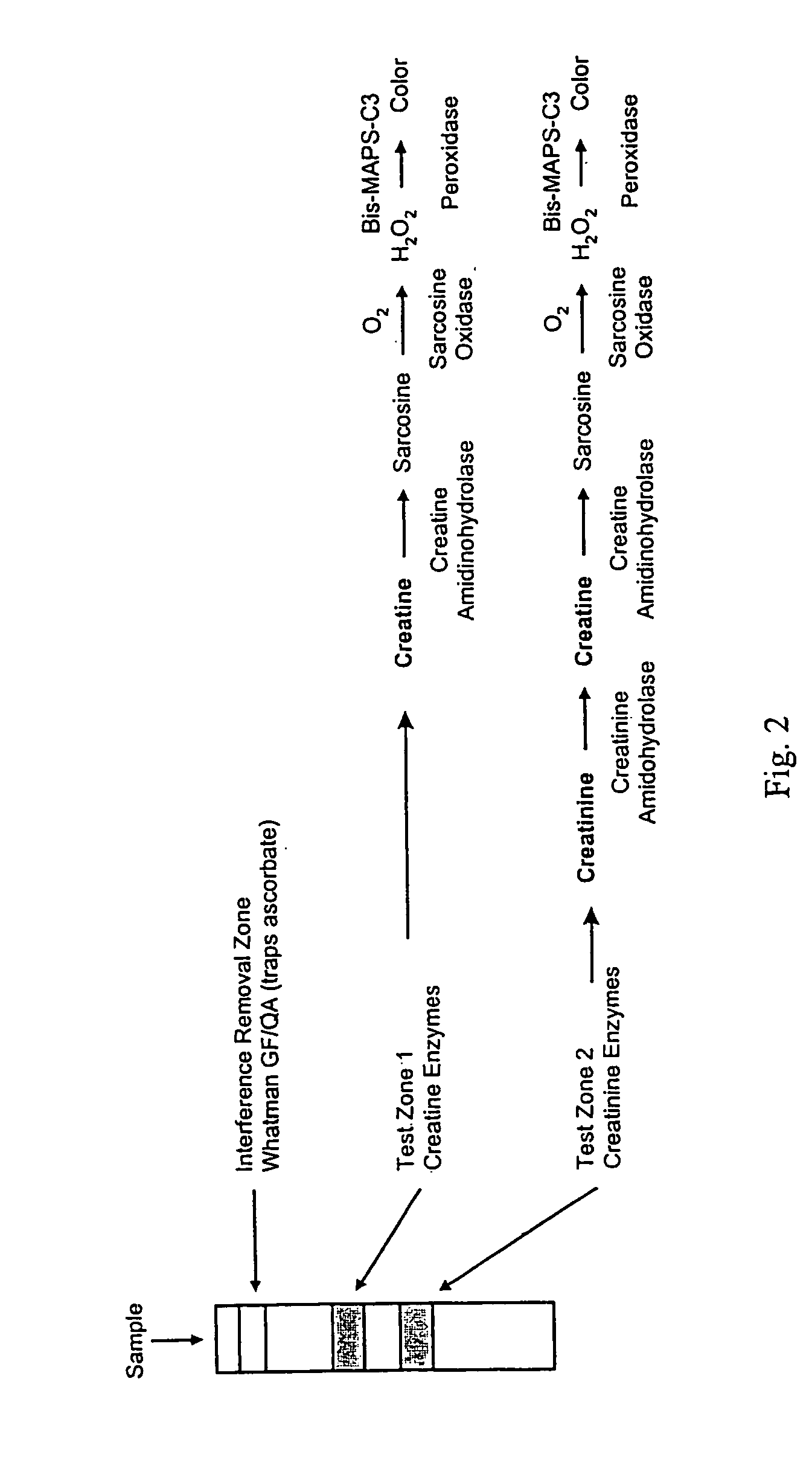 Dry reagent strip configuration, composition and method for multiple analyte determination