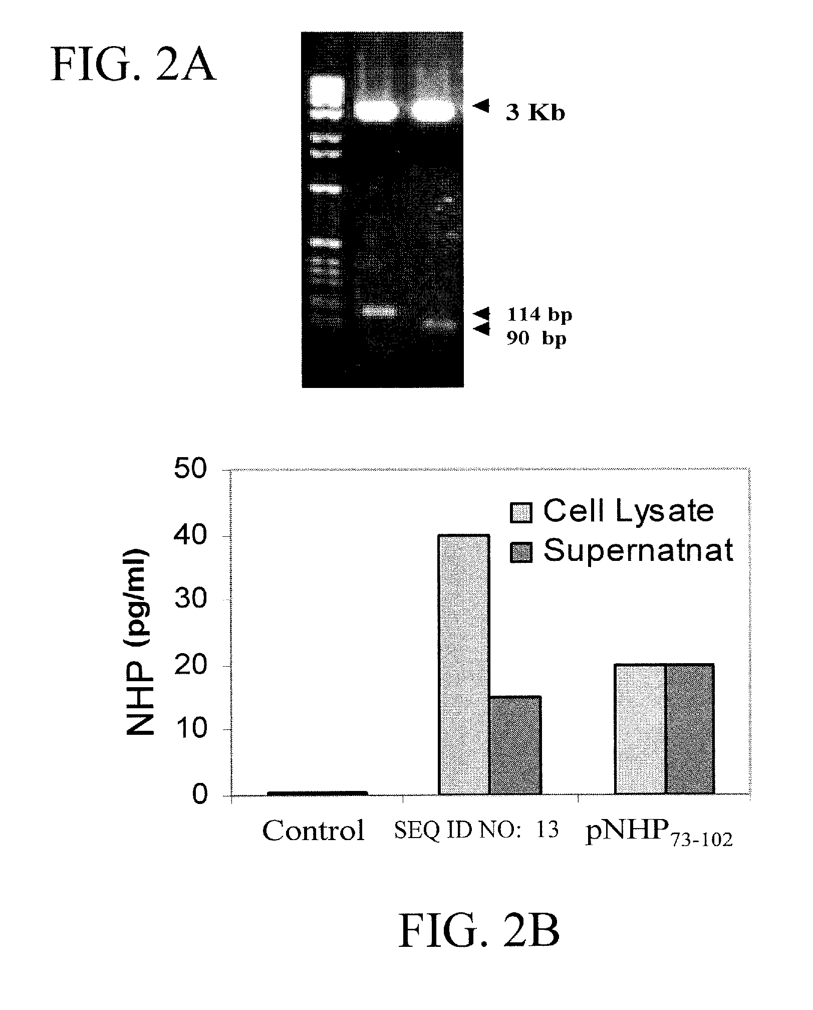 Materials and Methods for Treatment of Allergic Diseases
