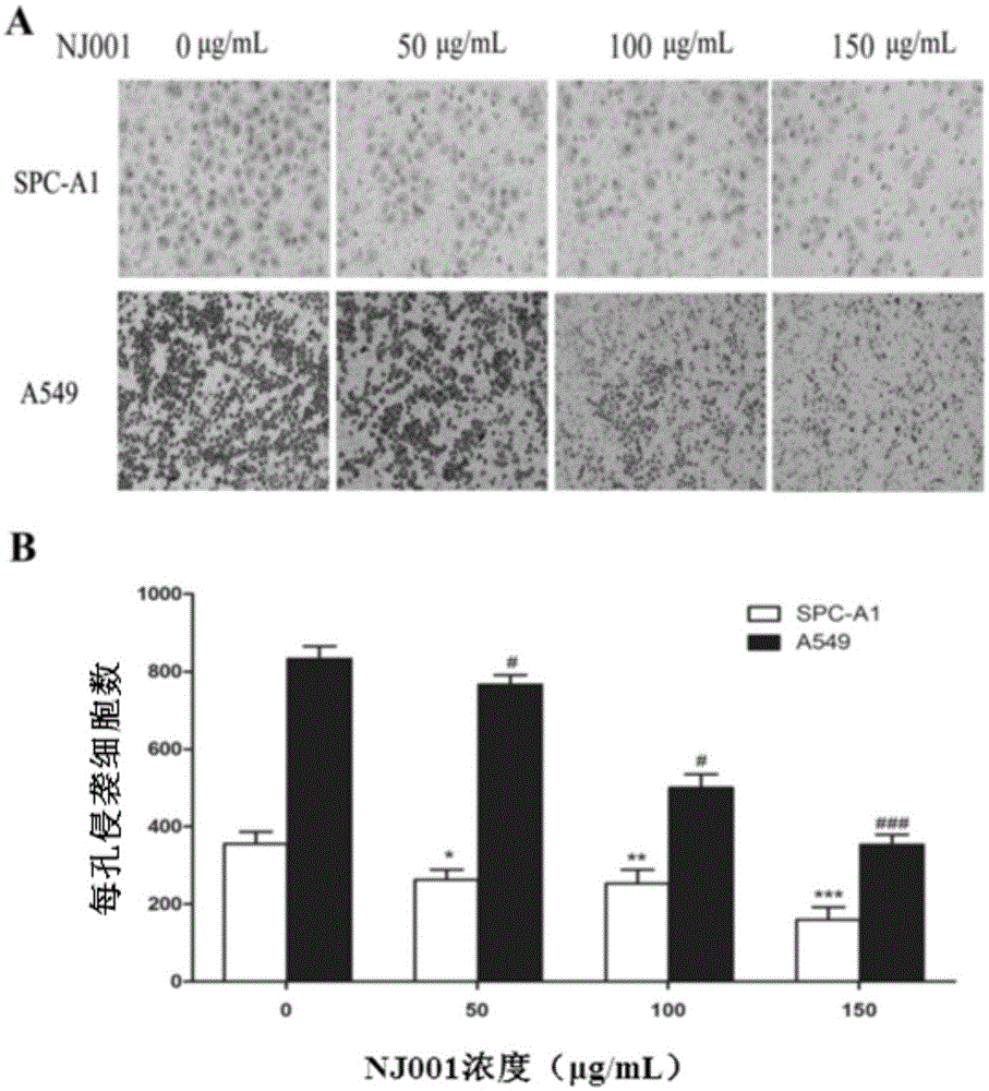 Application of monoclonal antibody NJ001-1 to preparation of drug for inhibiting invasion and metastasis of NSCLC (non-small-cell lung cancer)