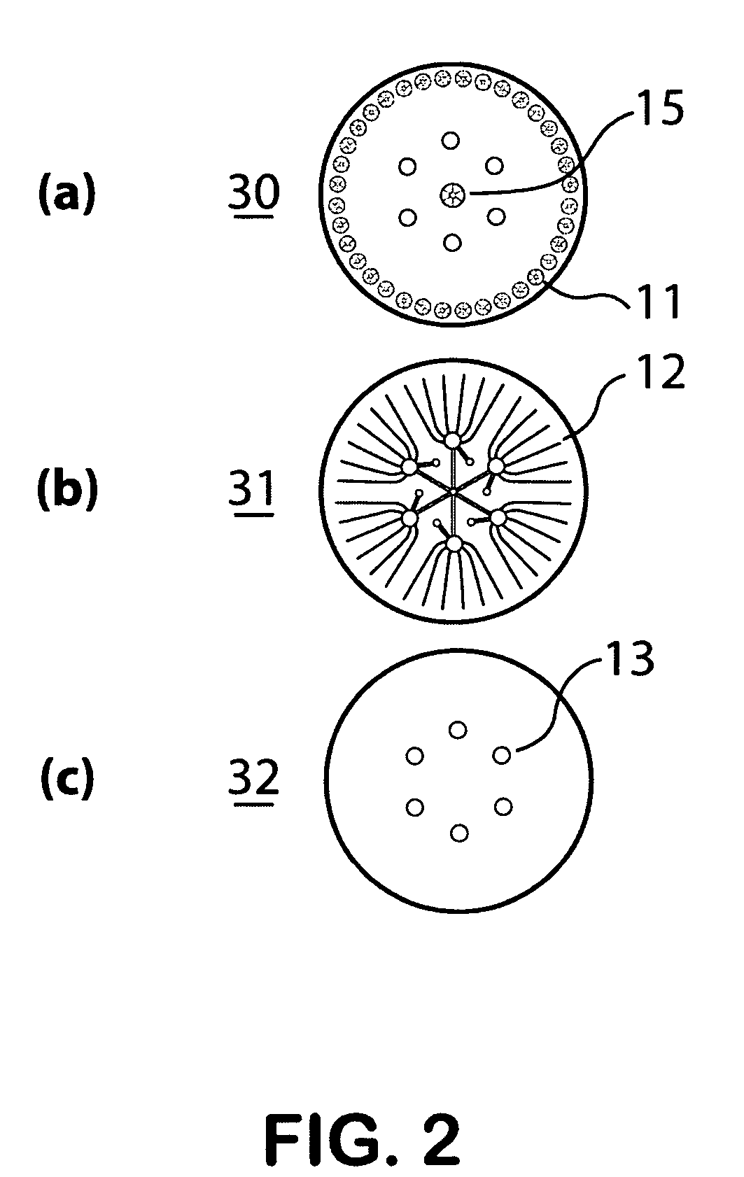 Self-contained microfluidic biochip and apparatus
