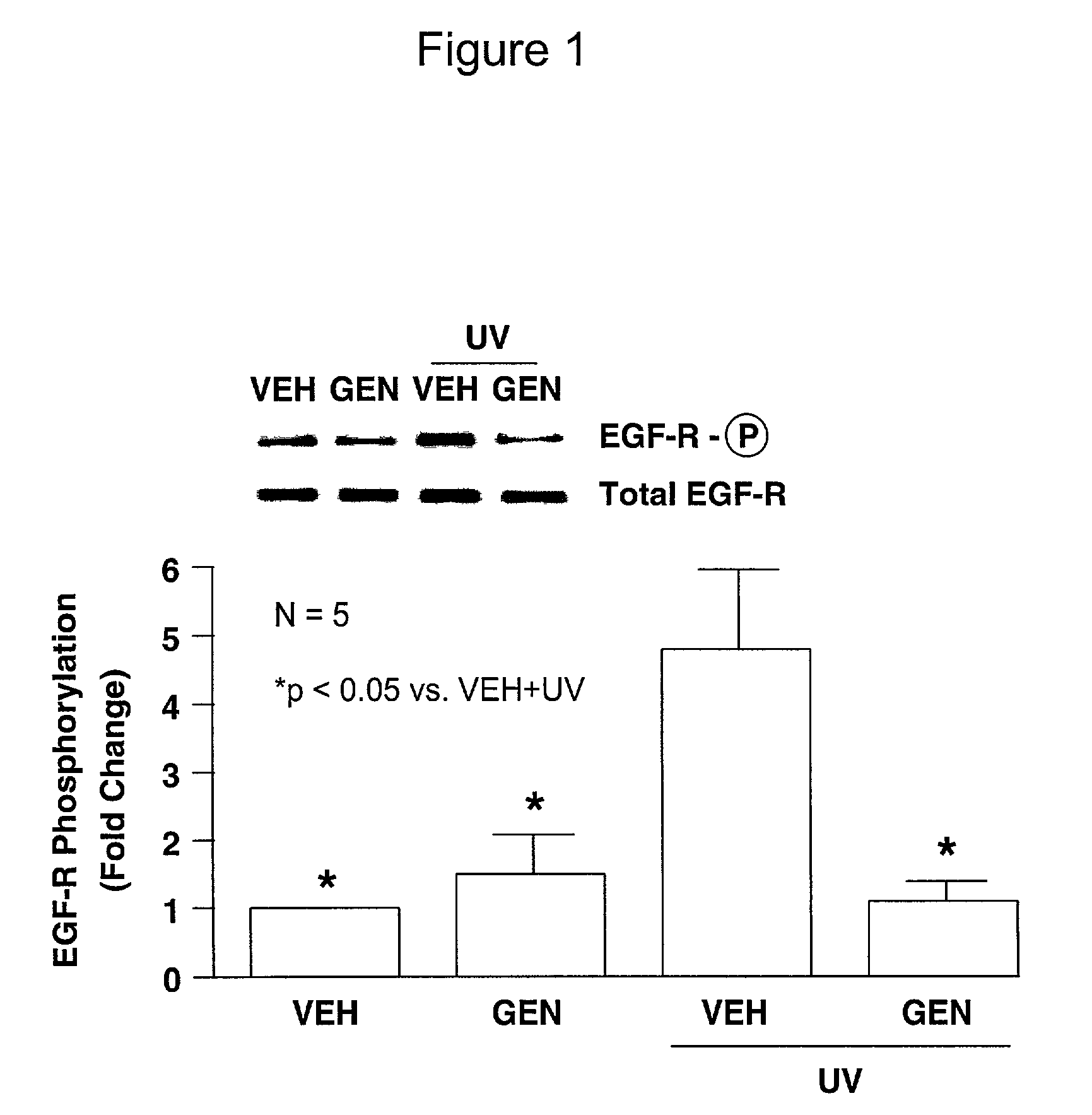 Use of natural EGFR inhibitors to prevent side effects due to retinoid therapy, soaps, and other stimuli that activate the epidermal growth factor receptor