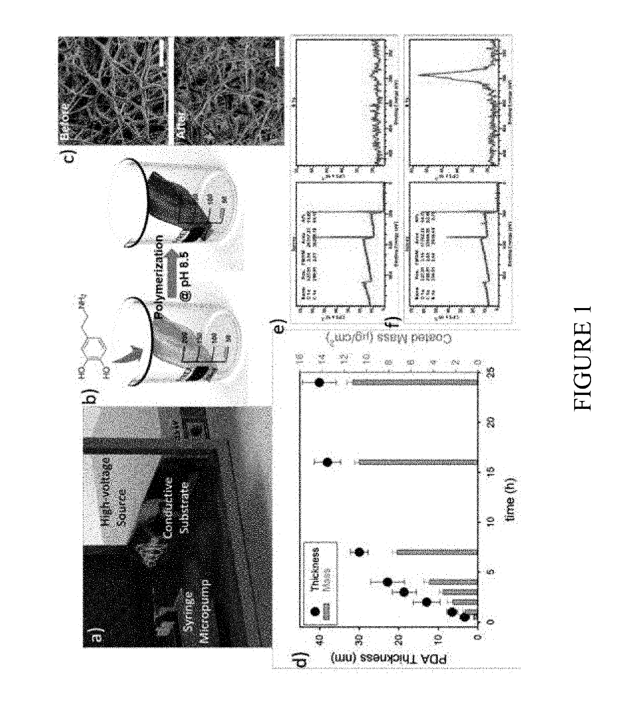 Biomimetic membranes, methods of  manufacture and uses thereof