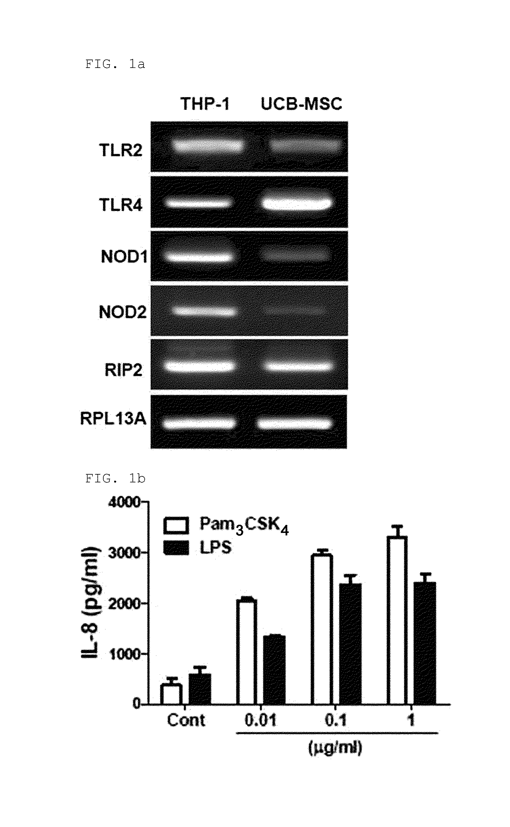 Pharmaceutical composition comprising stem cells treated with NOD2 agonist or culture thereof for prevention and treatment of immune disorders and inflammatory diseases