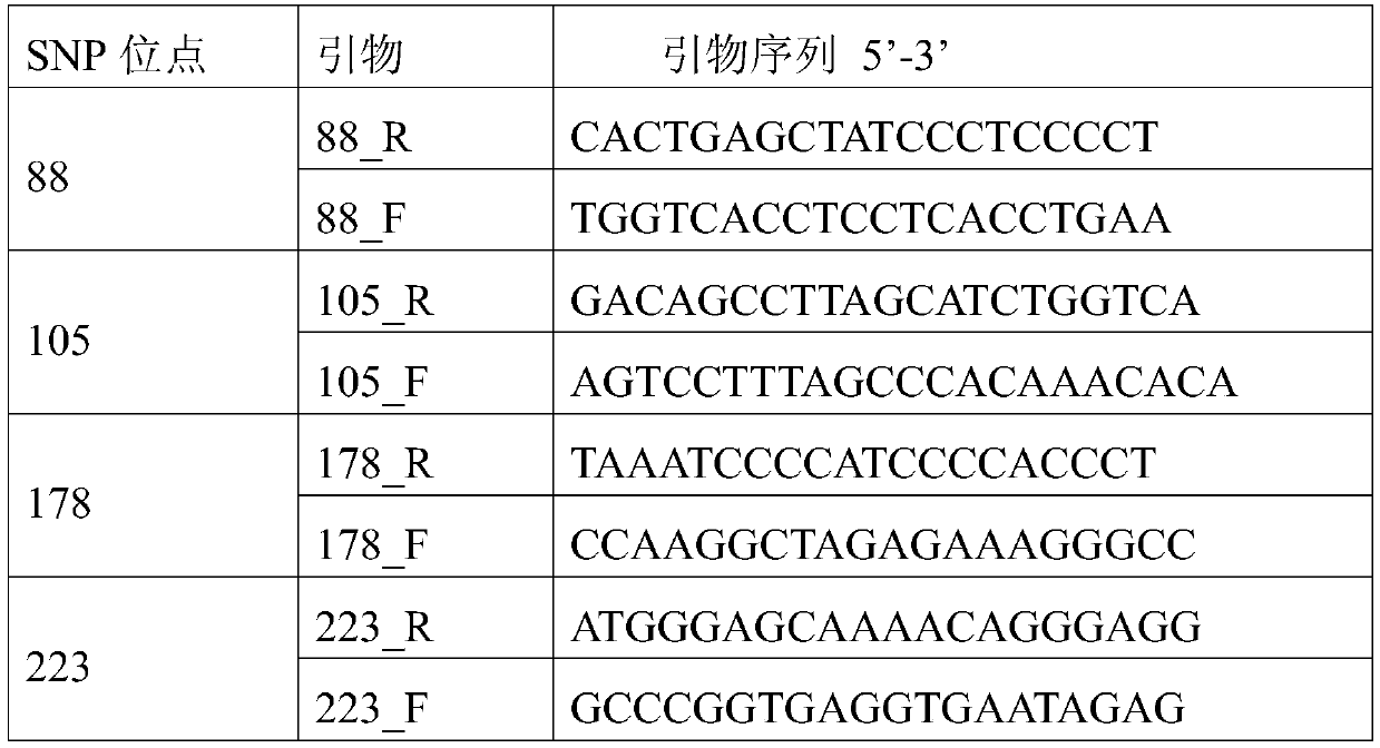 SNP markers for authenticating tortoises, Chinese stripe-necked turtles and hybrids of tortoises and Chinese stripe-necked turtles