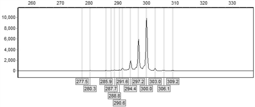 Primer and kit for detecting CGG repetition number of FMR1 gene