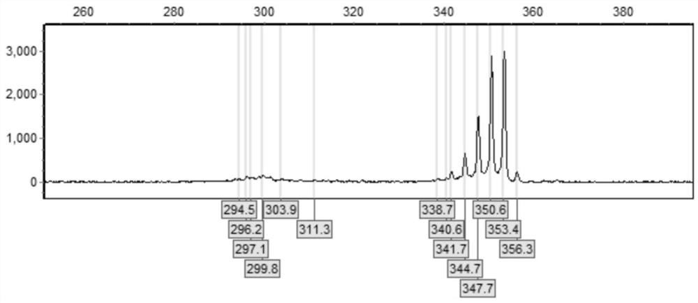 Primer and kit for detecting CGG repetition number of FMR1 gene