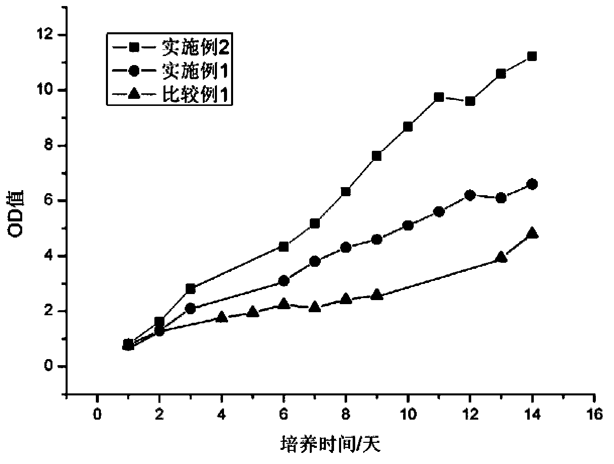 Method for culturing microalgae and method for producing grease