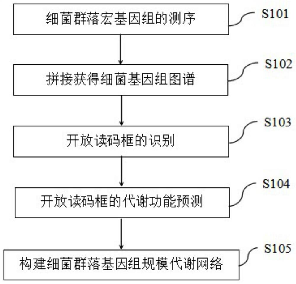 Method for constructing bacterial community genome scale metabolic network