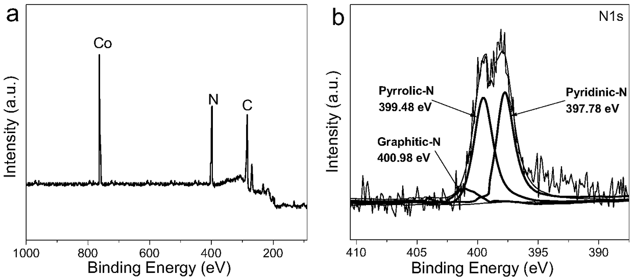Nitrogen-cobalt double-doped porous carbon composite bifunctional oxygen catalyst and its preparation method and application