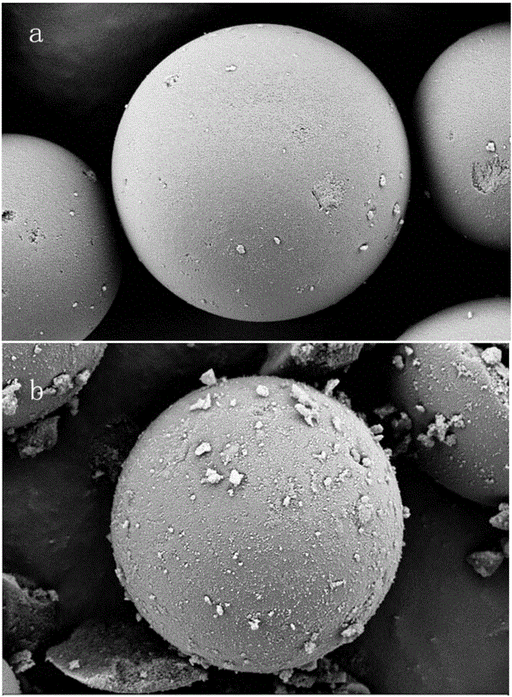 Method for preparing glutamic acid surface molecularly imprinted polymer silica microspheres