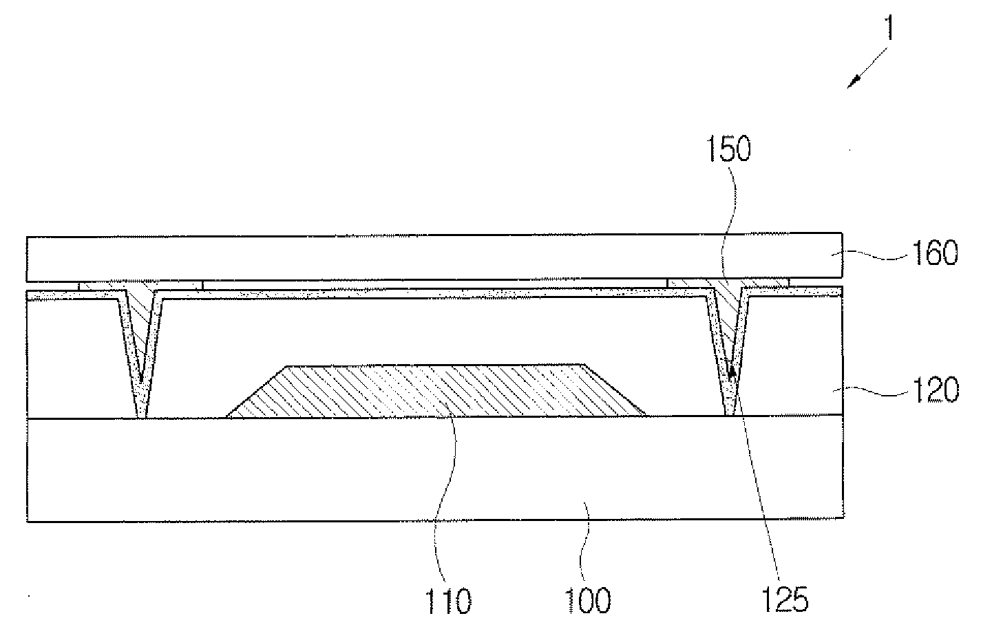 Display device with minimized infiltration of oxygen and moisture and manufacturing method thereof