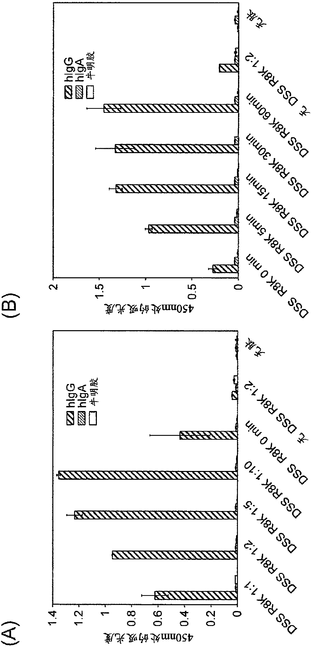 Specific modification of antibody by IgG-binding peptide