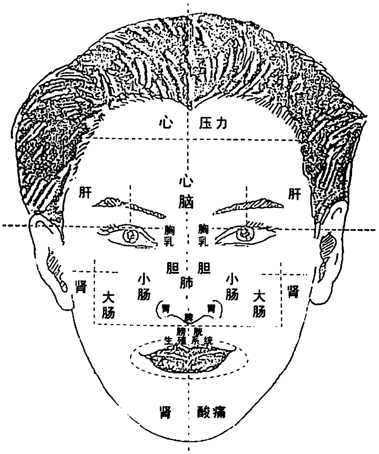 Health state diagnosis system based on facial image