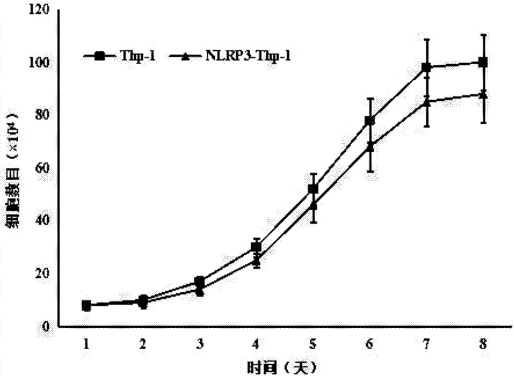 Fluorescent cell sensor for screening inflammasome NLRP3 activators and inhibitors