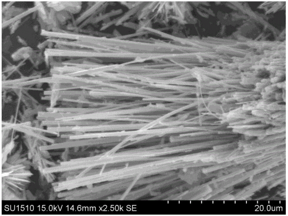 Simple preparation method of antimony phosphate of mixed morphological structure