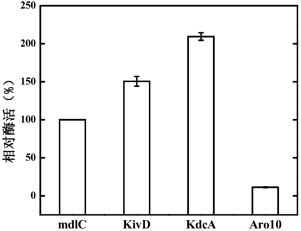 Genetically engineered bacteria and application thereof in production of BT (D-1,2,4-butanetriol)