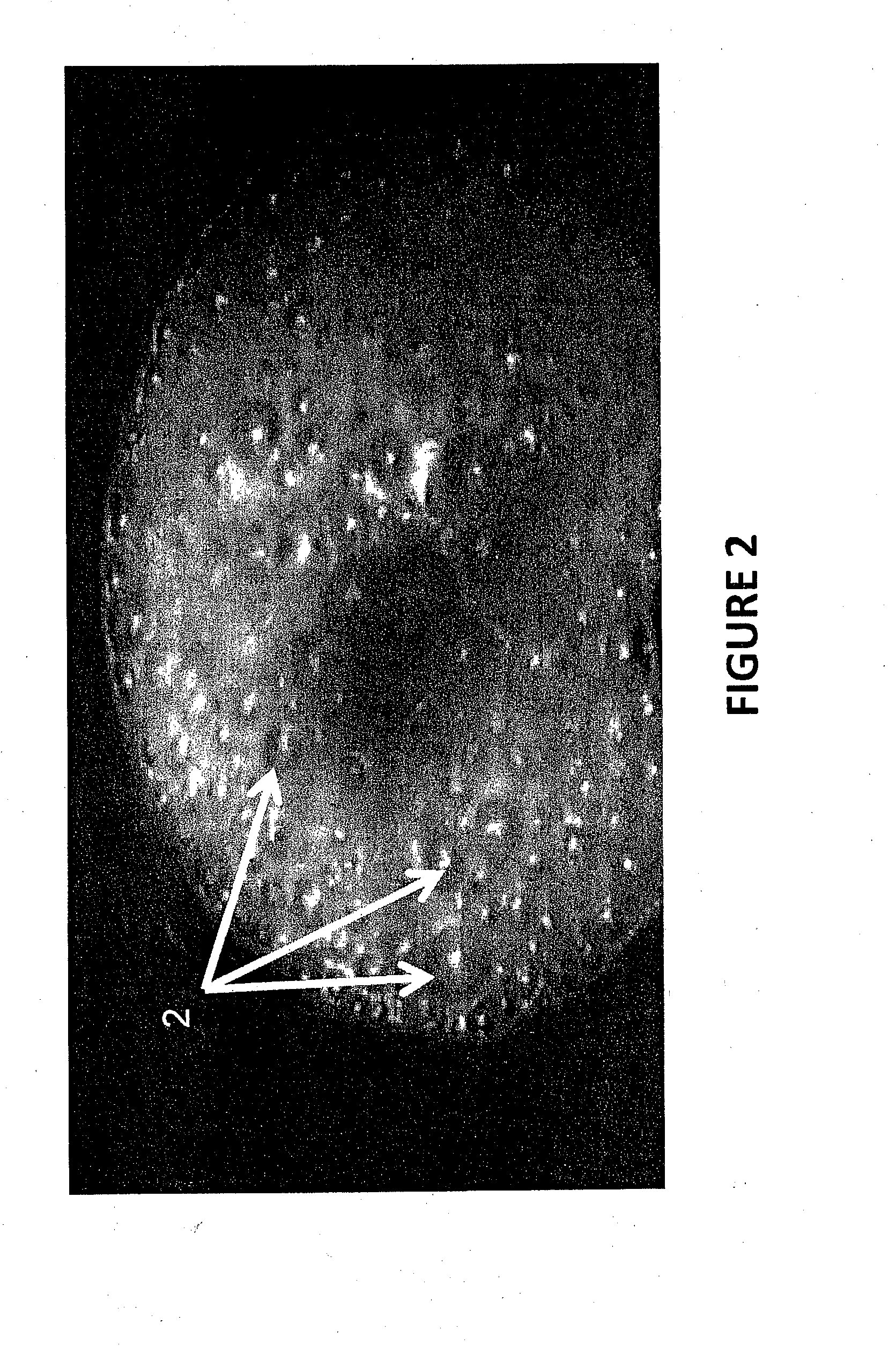 Compositions and methods for enhanced hydrocarbon recovery