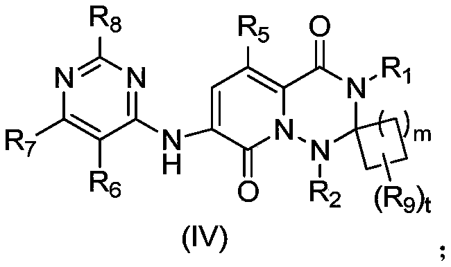 MNK inhibitors