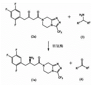 Immobilized transaminases and process for making and using immobilized transaminase