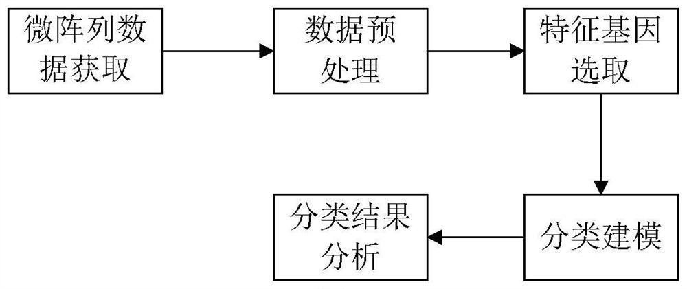 Gene selection method and system based on adaptive gene interaction regularization elastic network model