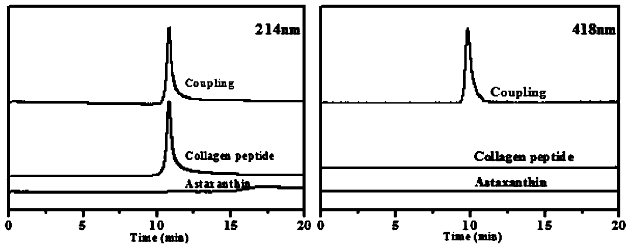 A kind of astaxanthin-collagen coupling substance and its preparation method and application