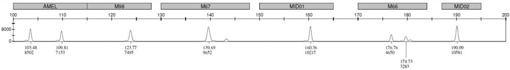 PCR amplification system and detection kit for genotyping of three SNP loci related to human folic acid metabolism