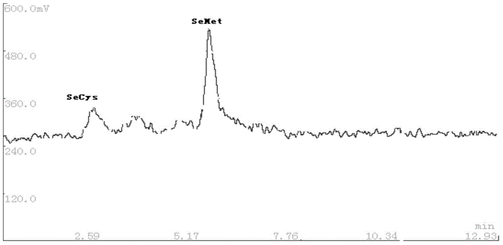 Detection method of selenium form in aquatic products