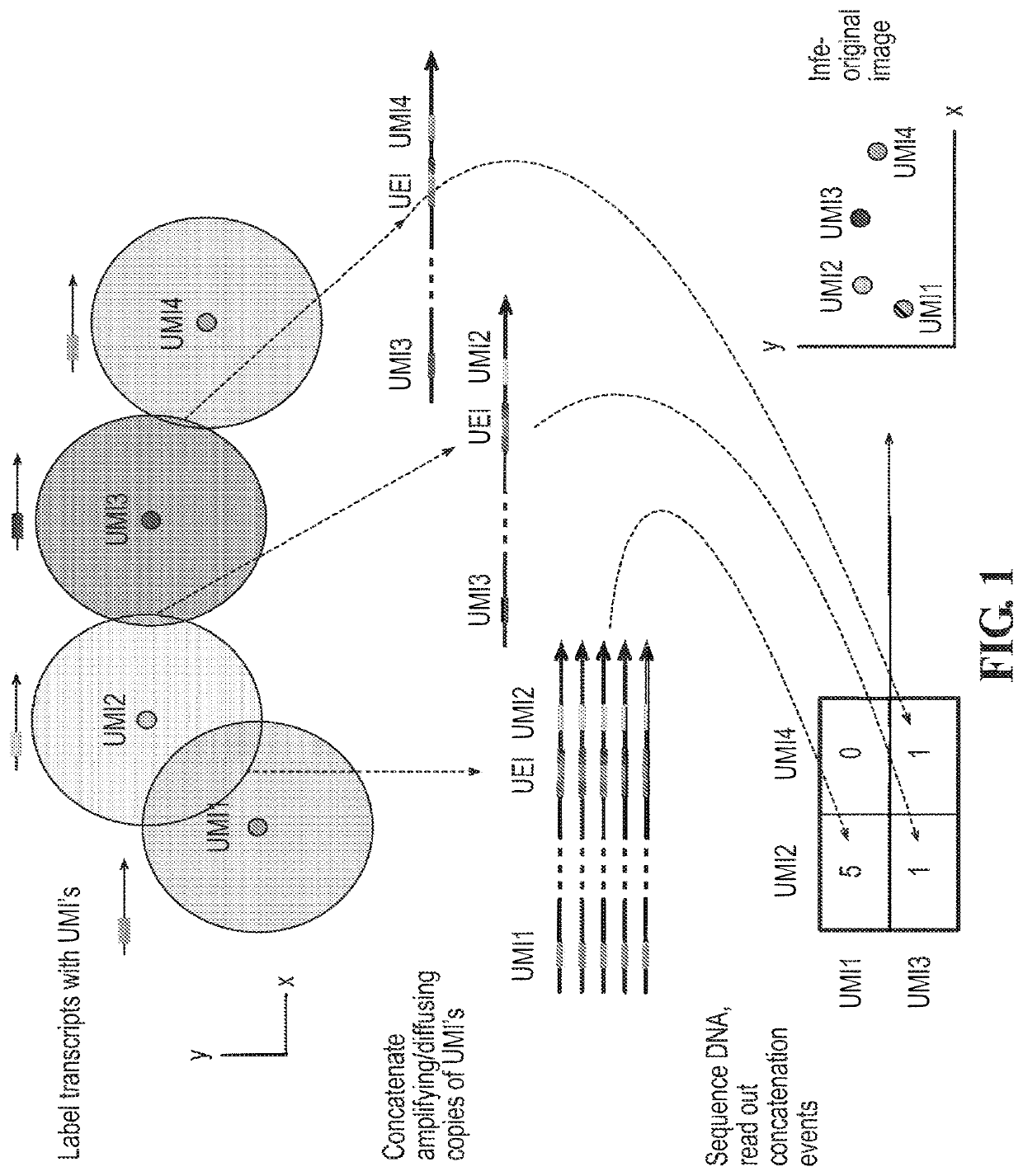 DNA microscopy methods