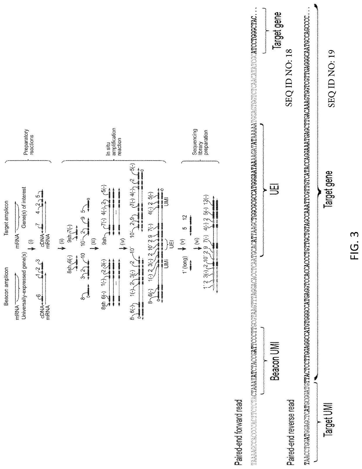 DNA microscopy methods