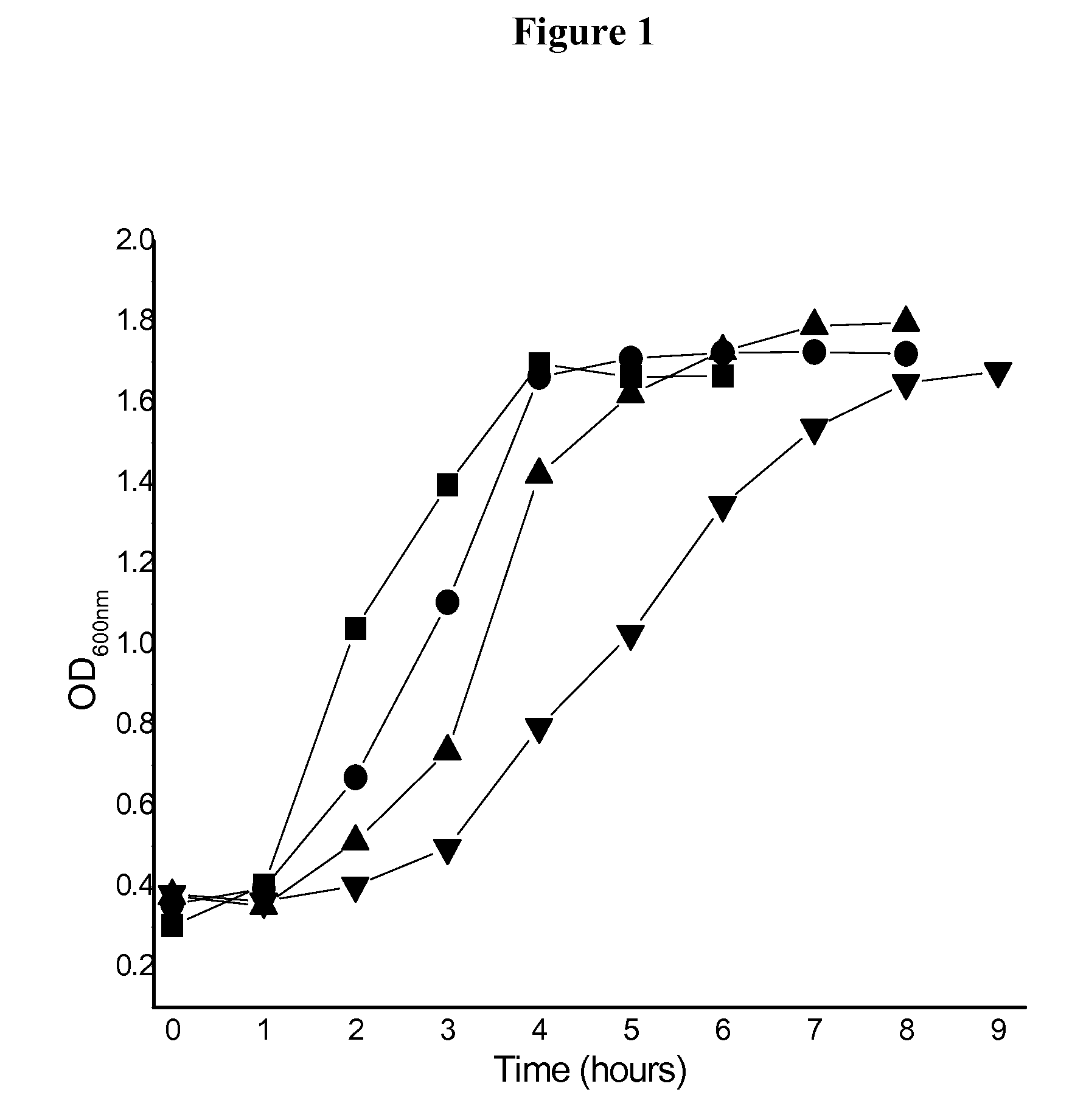 Formulation for room temperature stabilization of a live attenuated bacterial vaccine