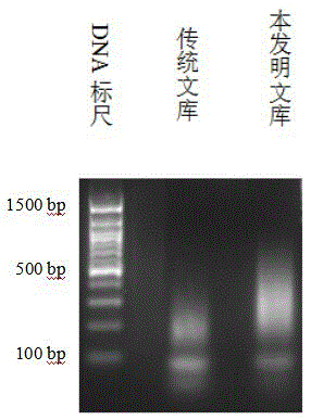 Plasma cfDNA (cell-free deoxyribonucleic acid) bi-molecular marker, method for marking and detecting plasma cfDNA and application of plasma cfDNA bi-molecular marker